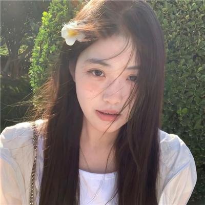 寻狗记