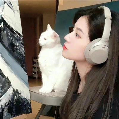 顽皮豹风笛手